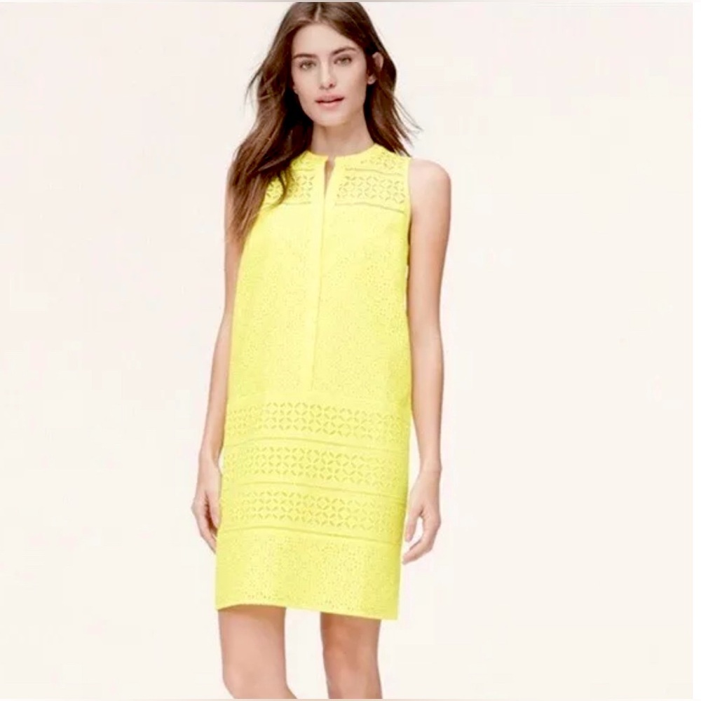 Loft Eyelet V-neck Dress